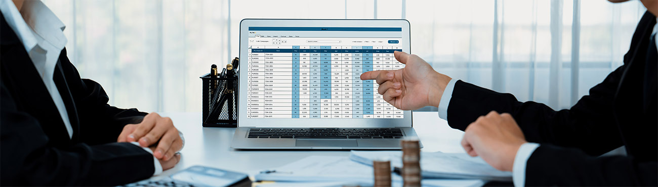 Sofer Advisors financial reporting dashboard